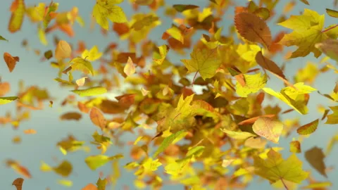 Exploding autumn leafs background Stock Footage 114163622