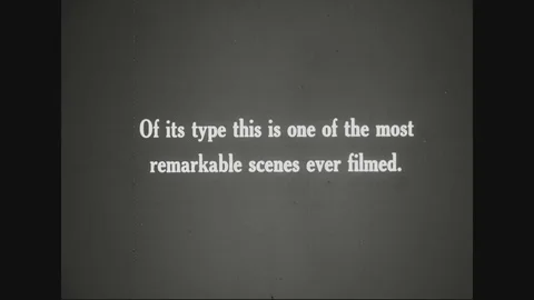 Exploding bomb and soldiers running on battlefiled-1914 - 1918 Video stock 83657232