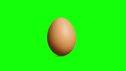 Exploding Brown Egg with Feathers on Green Screen Stock Footage 330477798