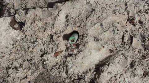 Exploding clacker in sand Stock Footage 22553888