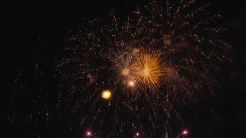 Exploding colorful fireworks on a dark night sky. Slow motion Stock Footage 319812959