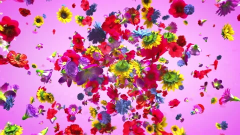 Exploding colorful flowers in 4K Video stock 89453676