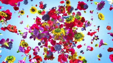 Exploding colorful flowers in 4K Stock-Footage 89454895