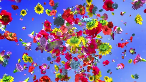 Exploding colorful flowers in 4K 스톡 동영상 89455199