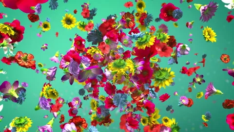 Exploding colorful flowers in 4K Stock Footage 89455407