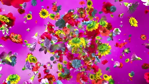 Exploding colorful flowers in 4K Video stock 89461209