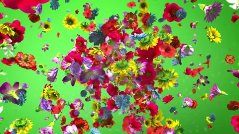 Exploding colorful flowers in 4K Stock Footage 89461299