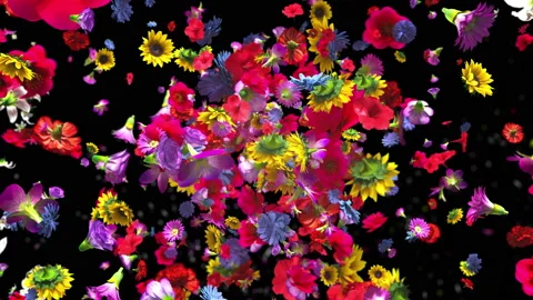 Exploding colorful flowers in 4K Stock Footage 89470426