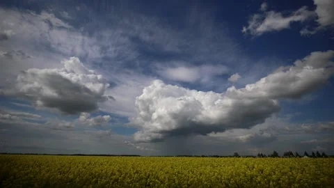 Exploding cumulonimbus cloud convection over yellow field Stock Footage 131292572