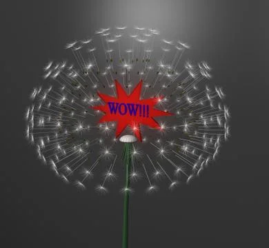 A exploding dandelion Stock Illustration