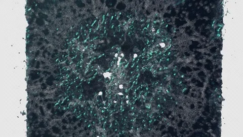 Exploding energy circle on transparent background Stock Footage 321639939