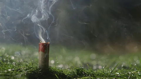 Exploding firework on green lawn at night, London, England, UK Video stock 156085243