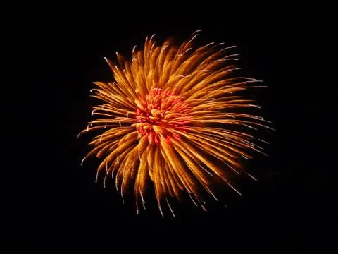 A exploding firework Foto stock