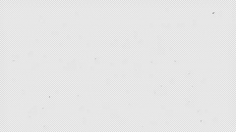 Exploding glass particles, transparent background Stock Footage 250652344