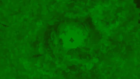 Exploding Green Flames 動画素材 327617304