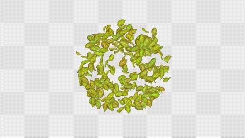 Exploding green leaf with alpha channel. Animation of leaf explosion. Matte Stock Footage 277774237