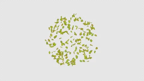 Exploding green leaf with alpha channel. Animation of leaf explosion. Matte Stock Footage 277774257