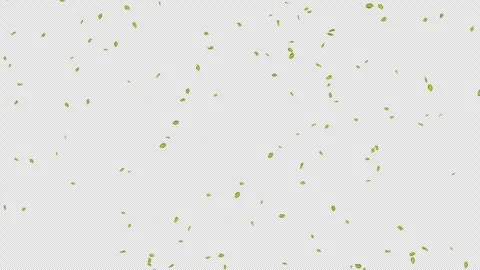 Exploding green leaf with alpha channel. Animation of leaf explosion. Matte Stock Footage 277774284
