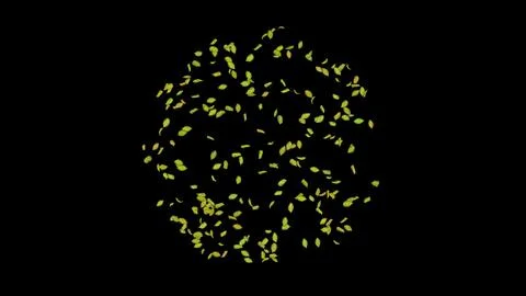 Exploding green leaf on black background.  Stock Photos