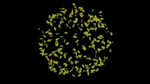 Exploding green leaf on black background.  Stock Photos