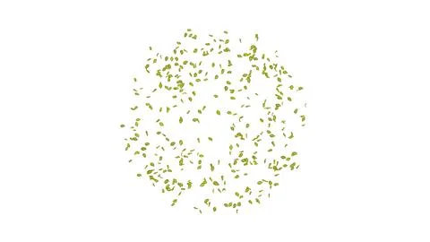 Exploding green leaf on white background.  写真素材