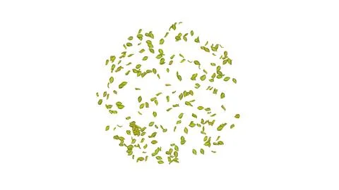 Exploding green leaf on white background.  Stock Photos