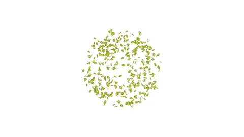 Exploding green leaf on white, blue, black background.  Stock Footage 277790252