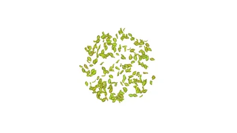 Exploding green leaf on white, blue, black background.  Stock Footage 277790256