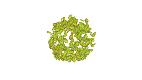 Exploding green leaf on white, blue, black background.  Stock Footage 277790262