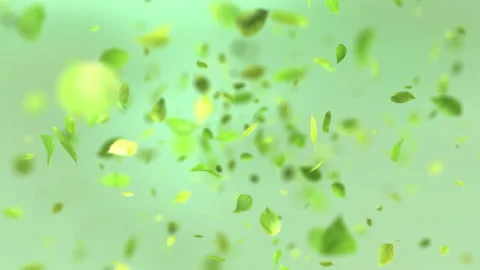 Exploding green leafs in 4K Stock-Footage 90113631