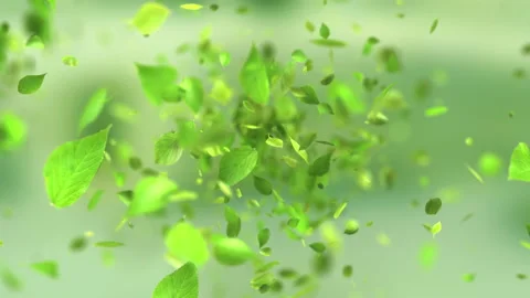 Exploding green leafs in 4K Stock Footage 90113676