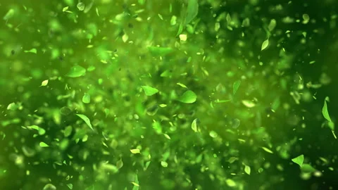 Exploding green tea leafs in 4K Vídeos de archivo 89990539