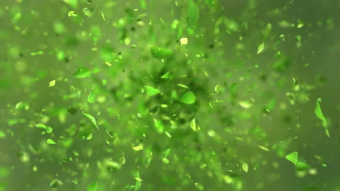 Exploding green tea leafs in 4K Vidéo 90038472