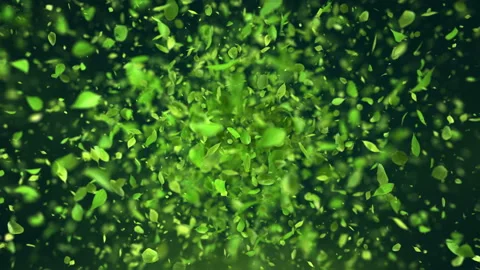 Exploding green tee leafs in 4K Stock Footage 89990778