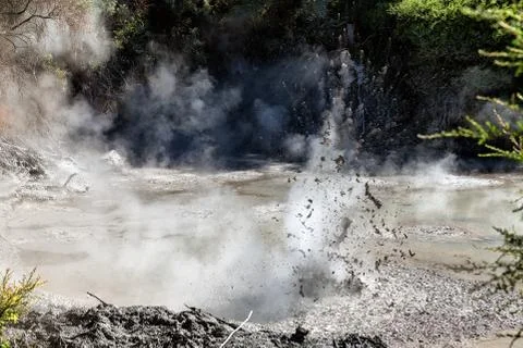 An exploding hot mud pool in Wai-O-Tapu Thermal Wonderland, Rotorua, New Zeal Stock Photos