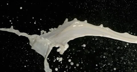 Exploding Milk against Black Background 写真素材