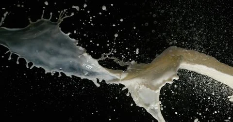 Exploding Milk against Black Background Foto stock