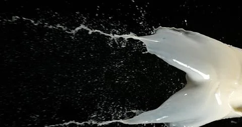 Exploding Milk against Black Background 写真素材