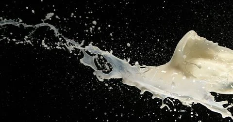 Exploding Milk against Black Background 写真素材