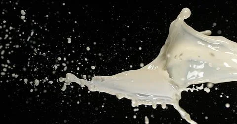 Exploding Milk against Black Background 写真素材