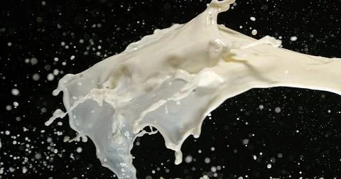 Exploding Milk against Black Background Stock Photos