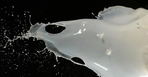 Exploding Milk against Black Background 写真素材