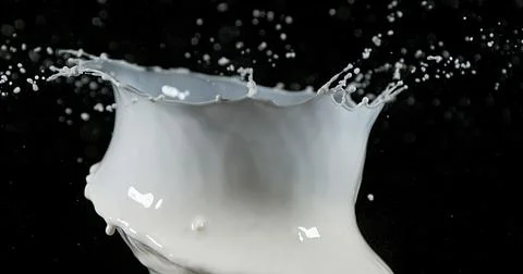 Exploding Milk against Black Background Stock Photos