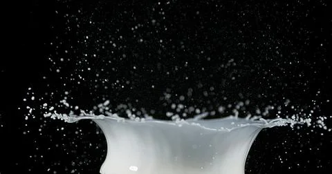 Exploding Milk against Black Background Stock Photos