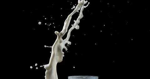 Exploding Milk against Black Background 写真素材