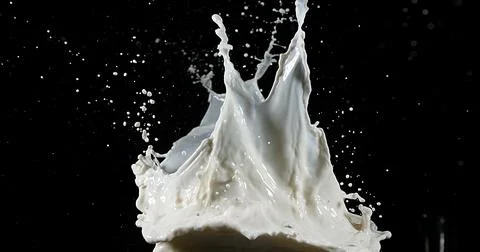 Exploding Milk against Black Background 写真素材