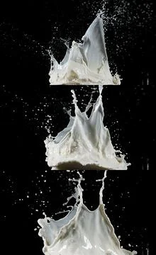 Exploding Milk against Black Background 写真素材