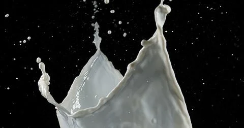 Exploding Milk against Black Background 写真素材