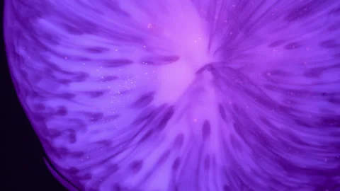 Exploding Organic Purple Abstract Art Fluid Effect With Particles Stock Footage 265880777