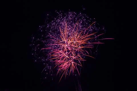 Exploding pink fireworks on a black background Stock Photos
